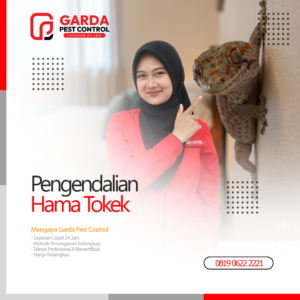 Jasa Pembasmi Tokek Terdekat di Bali Panggilan 24 Jam