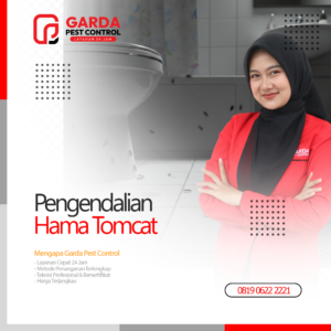 Jasa Pembasmi Tomcat Terdekat di Bali Garda Pest Control