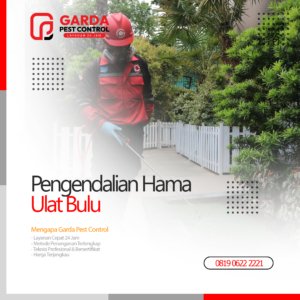 Jasa Pembasmi Ulat Bulu Terdekat di Bali Garda Pest Control