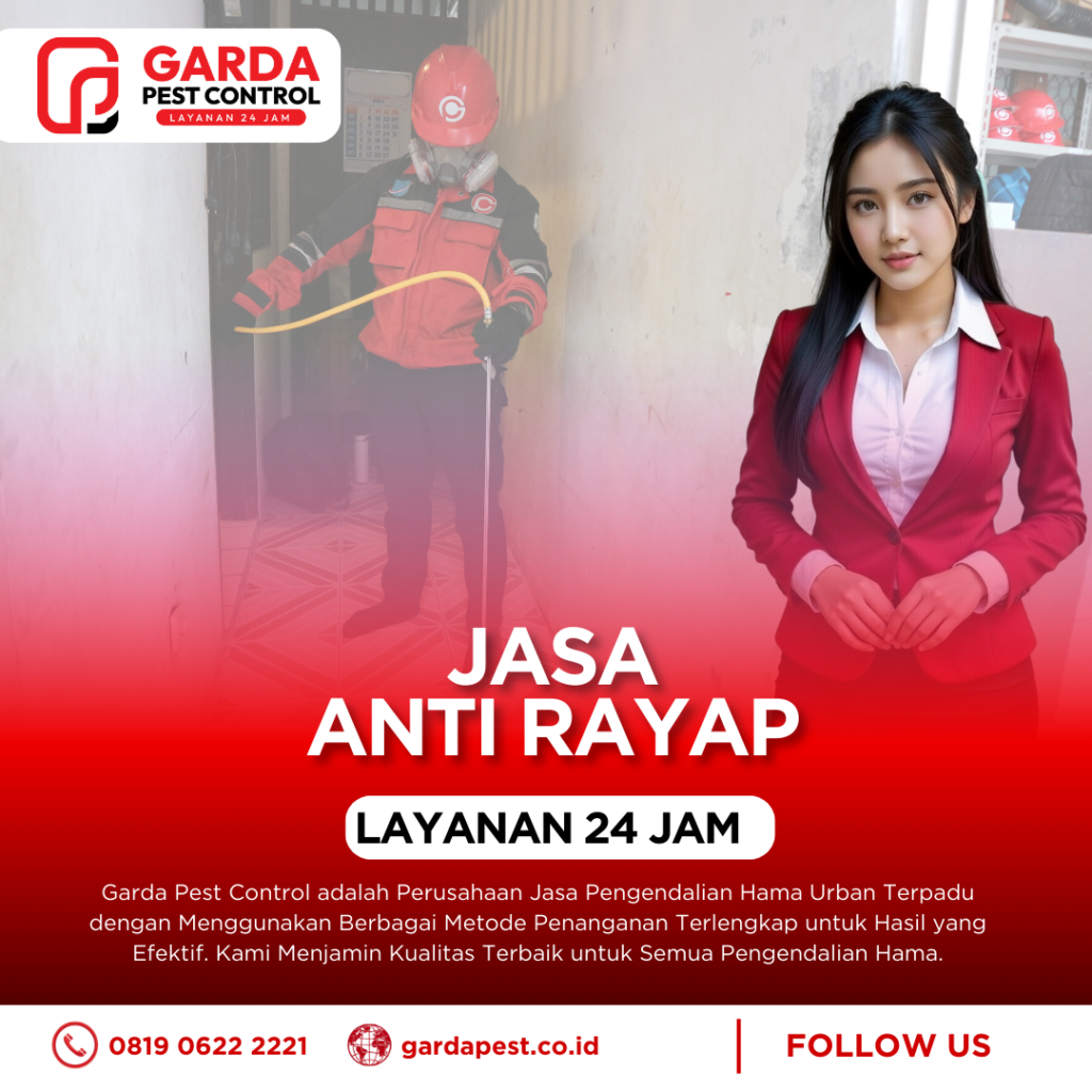 Jasa Anti Rayap Terbaik & Terkemuka di Bali