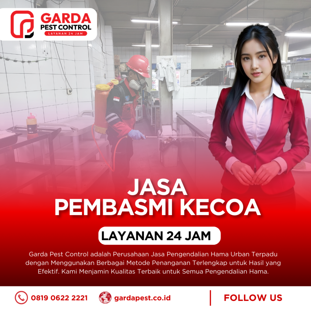 Jasa Pembasmi Kecoa di Bali Untuk Resto, Cafe dan Rumah Tinggal
