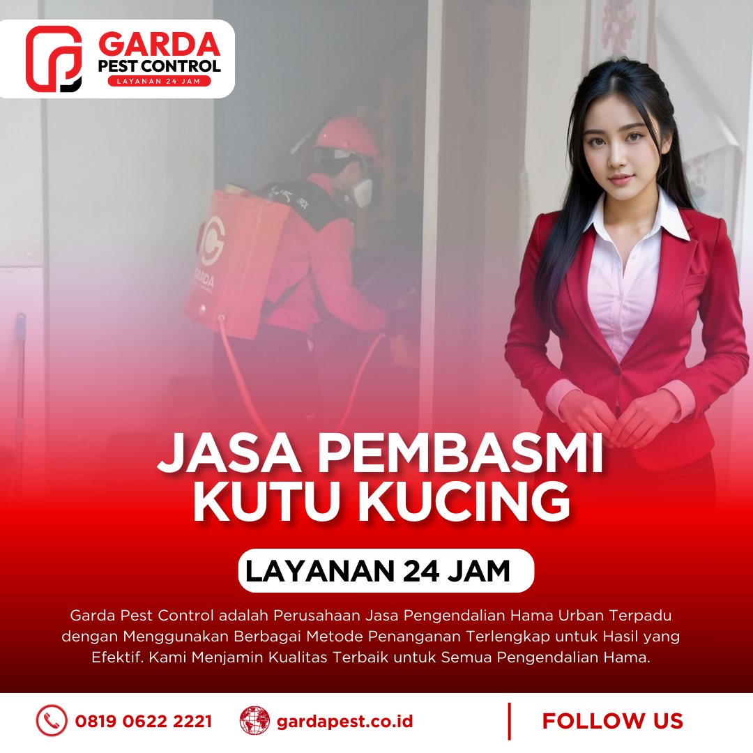 Jasa Pembasmi Kutu Kucing Terdekat di Denpasar Bali