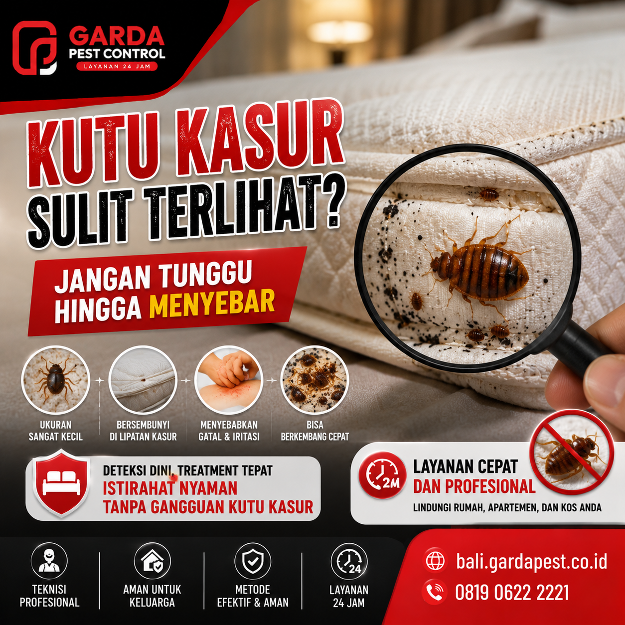 Jasa Pembasmi Kutu Kasur Aman untuk Anak dan Hewan Peliharaan Bali