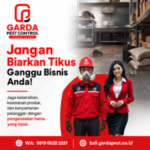 Jasa Pembasmi Tikus Bali Ampuh untuk Rumah & Bisnis