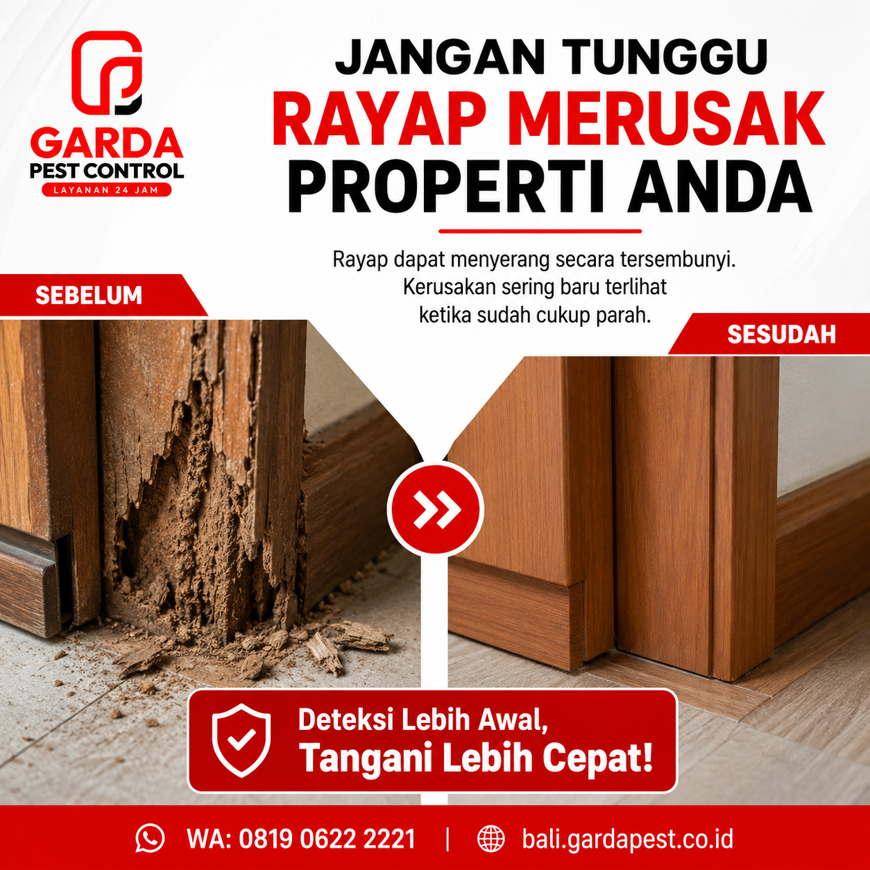 Perhitungan Biaya Anti Rayap Pra Konstruksi Bali Terbaru dan Panduan Proteksi Lahan