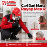 Estimasi Biaya Jasa Anti Rayap per Meter di Bali: Rincian Lengkap dan Panduan Tarif