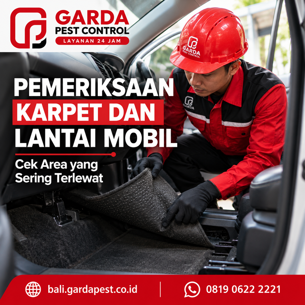 Penyebab Utama Kecoa Jerman Bersarang di Interior Mobil dan Solusi Membasminya