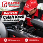 Jasa Pembasmi Kecoa Profesional dan Terpercaya